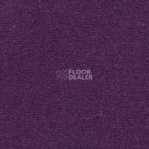 Ковролин Radici Nexus Parma 8248 фото 1 | FLOORDEALER
